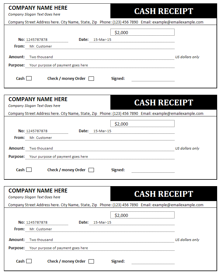 Professional Cash Receipt And Invoice Templates In MS Excel